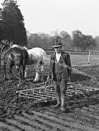 PLOUGH HORSES